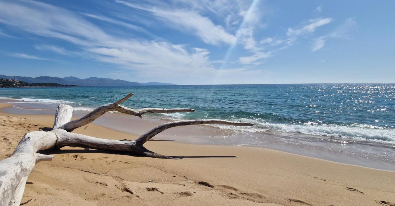 Mare E Monti Chez Thomas Et Magali Bed & Breakfast Vico Exterior photo